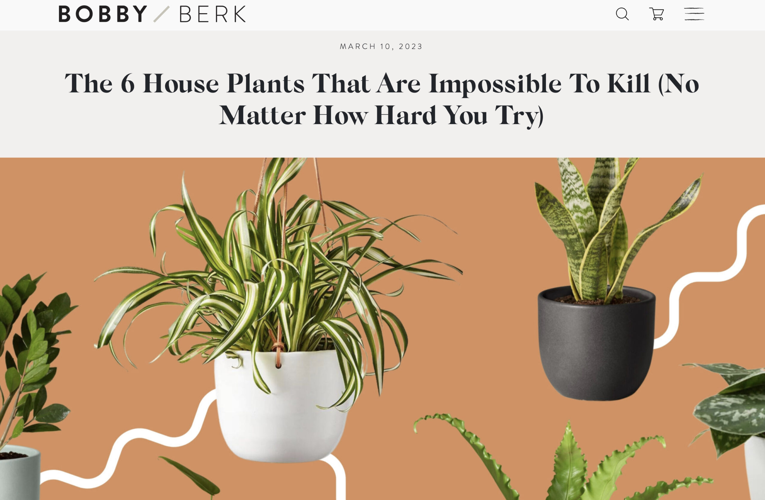 Plants_BB